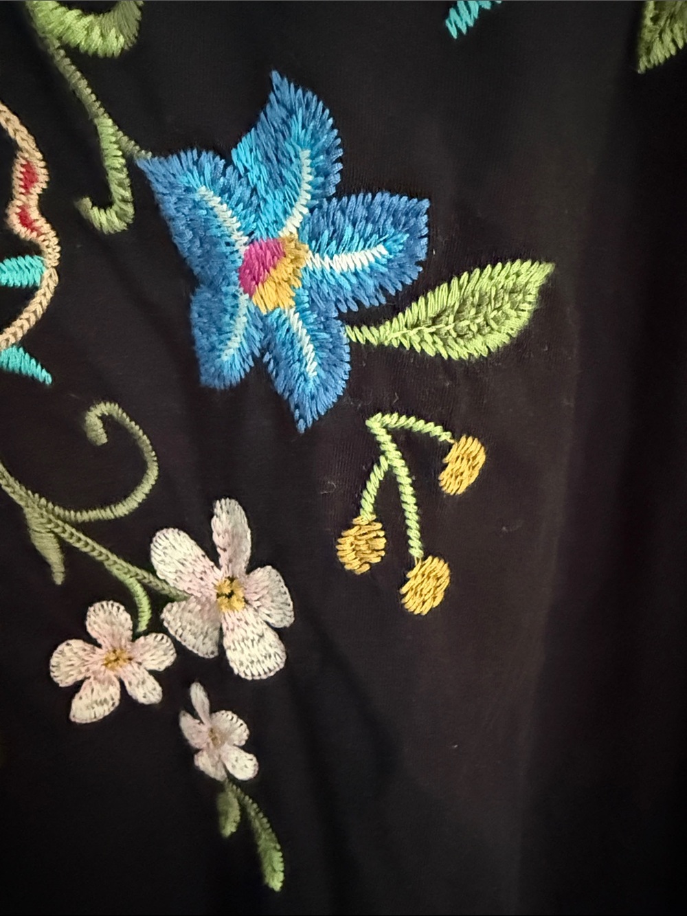 Johnny Was Black Maxi Dress with Multicolor Floral Embroidery - Picture 7 of 12
